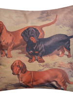 Clayre & Eef Coussin rempli 43*43*4 cm KG023.092