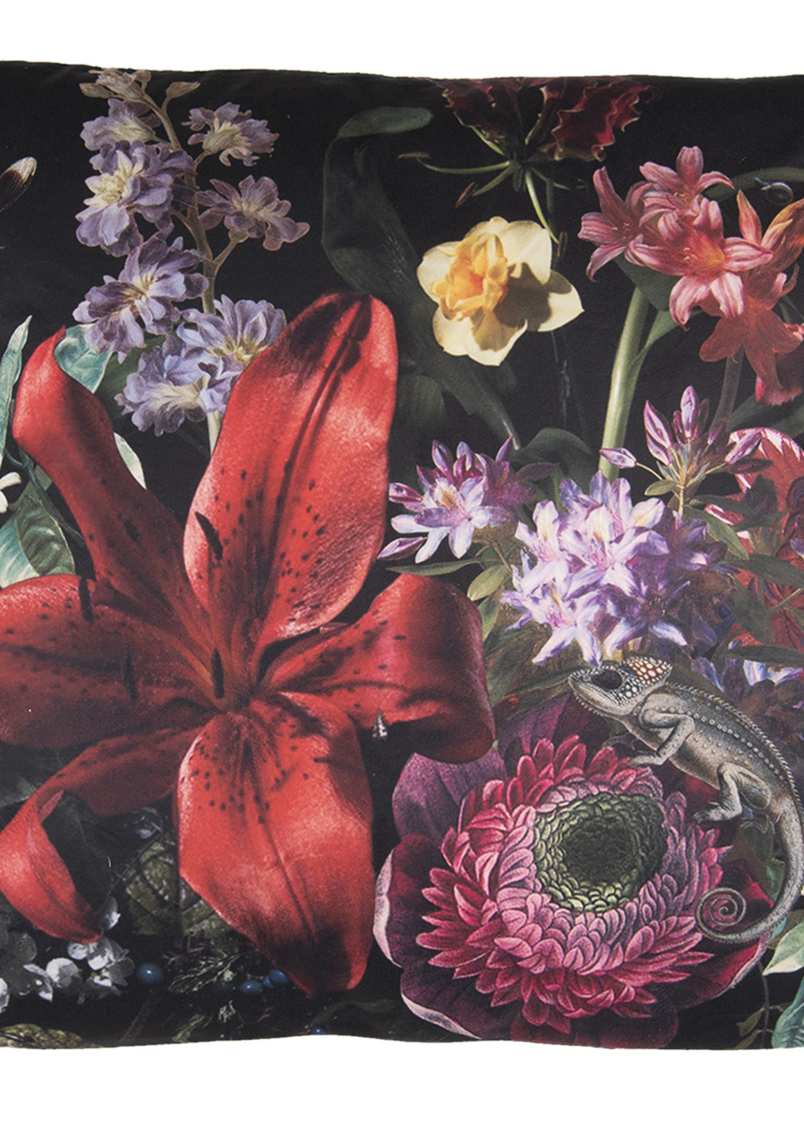 Clayre & Eef Coussin rempli 45*45*4 cm KG023.104