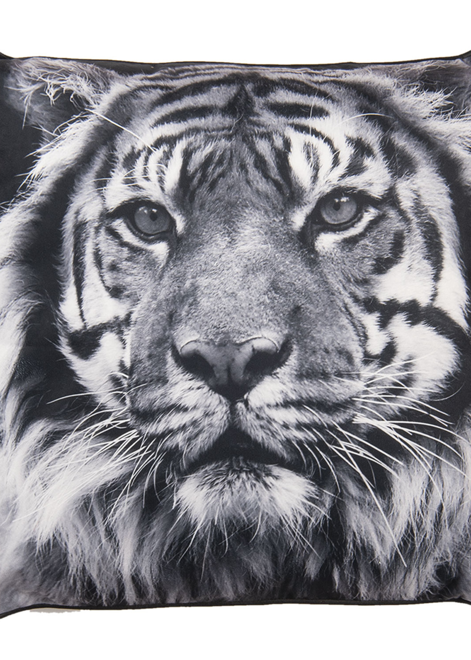 Clayre & Eef Coussin rempli 45*45*4 cm KG023.105