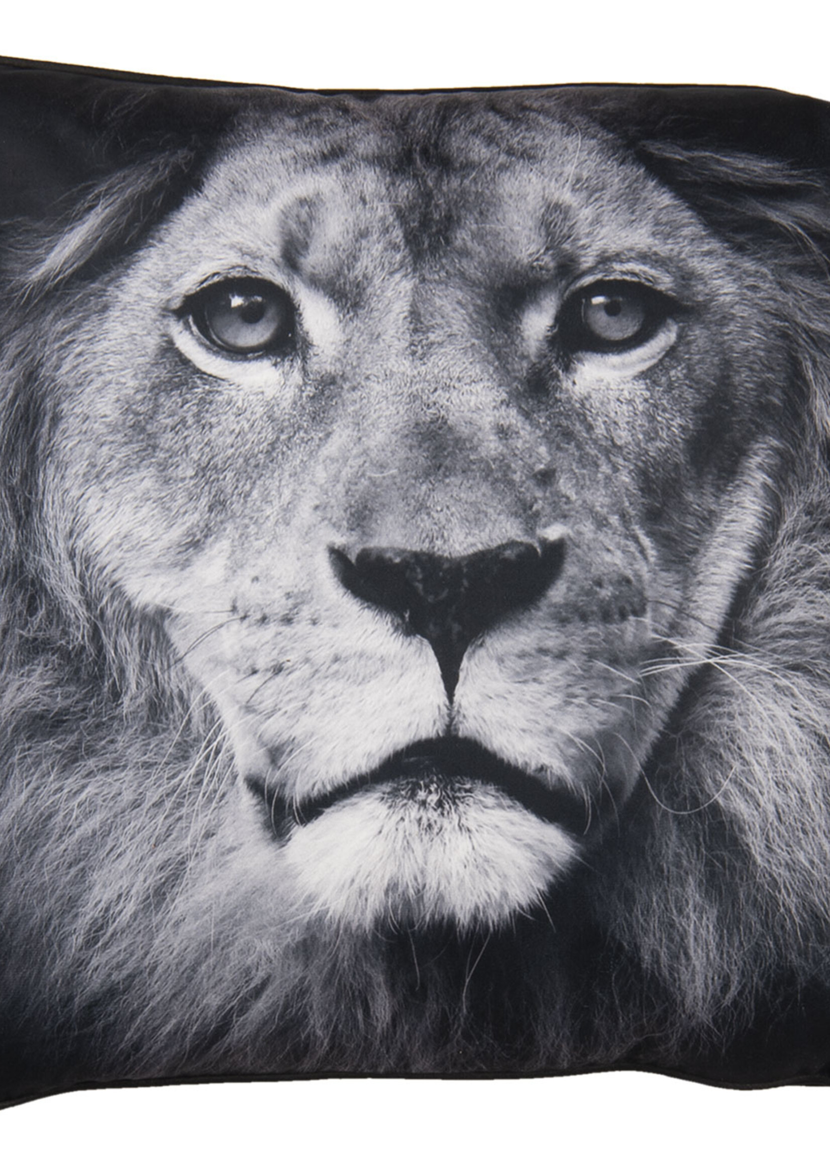 Clayre & Eef Kussen gevuld 45*45*4 cm KG023.107