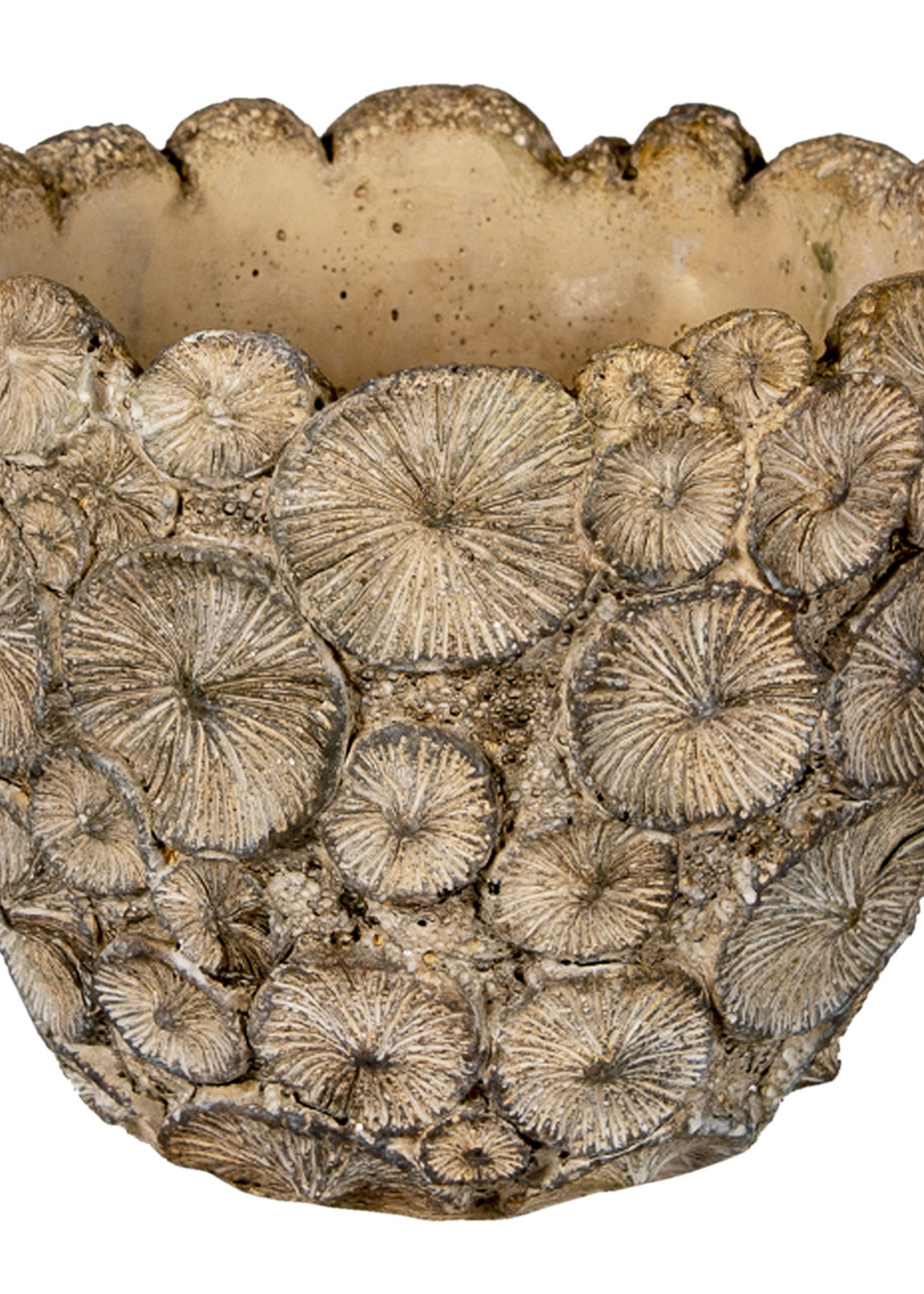 Clayre & Eef Bloempot Ø 16*15 cm 6TE0359L