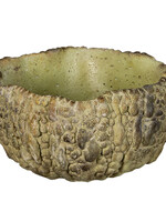 Clayre & Eef Bloempot 17*16*9 cm 6TE0362S