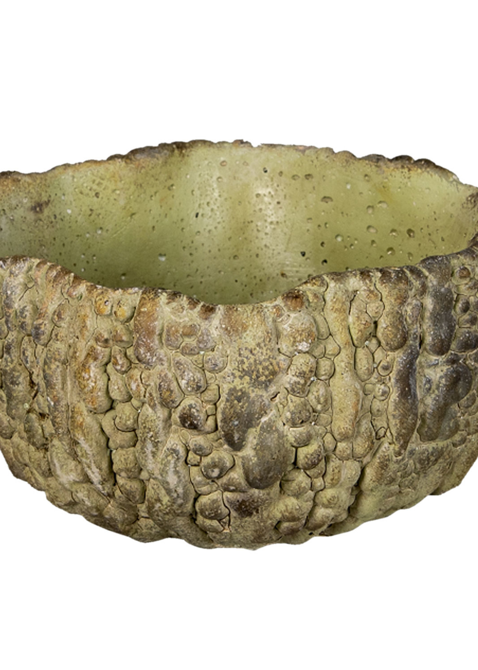 Clayre & Eef Pot de fleur 17*16*9 cm 6TE0362S