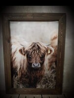 Poster de jardin buffle sur pvc exc cadre 21091 60 x 85 cm