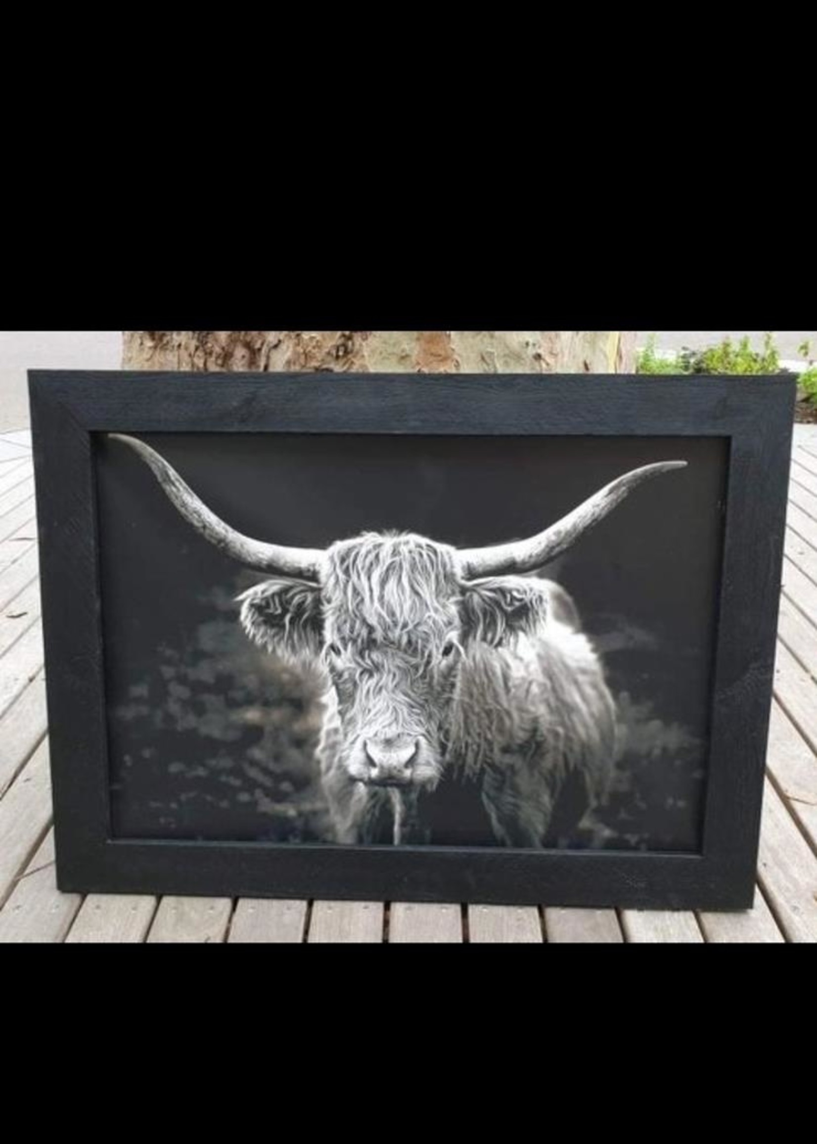 Tuinposter buffel zwart  / wit  op pvc  60 x 85 cm  exc lijst 21088