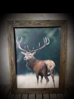 Poster de jardin cerf sur pvc exc liste 21092 60 x 85 cm