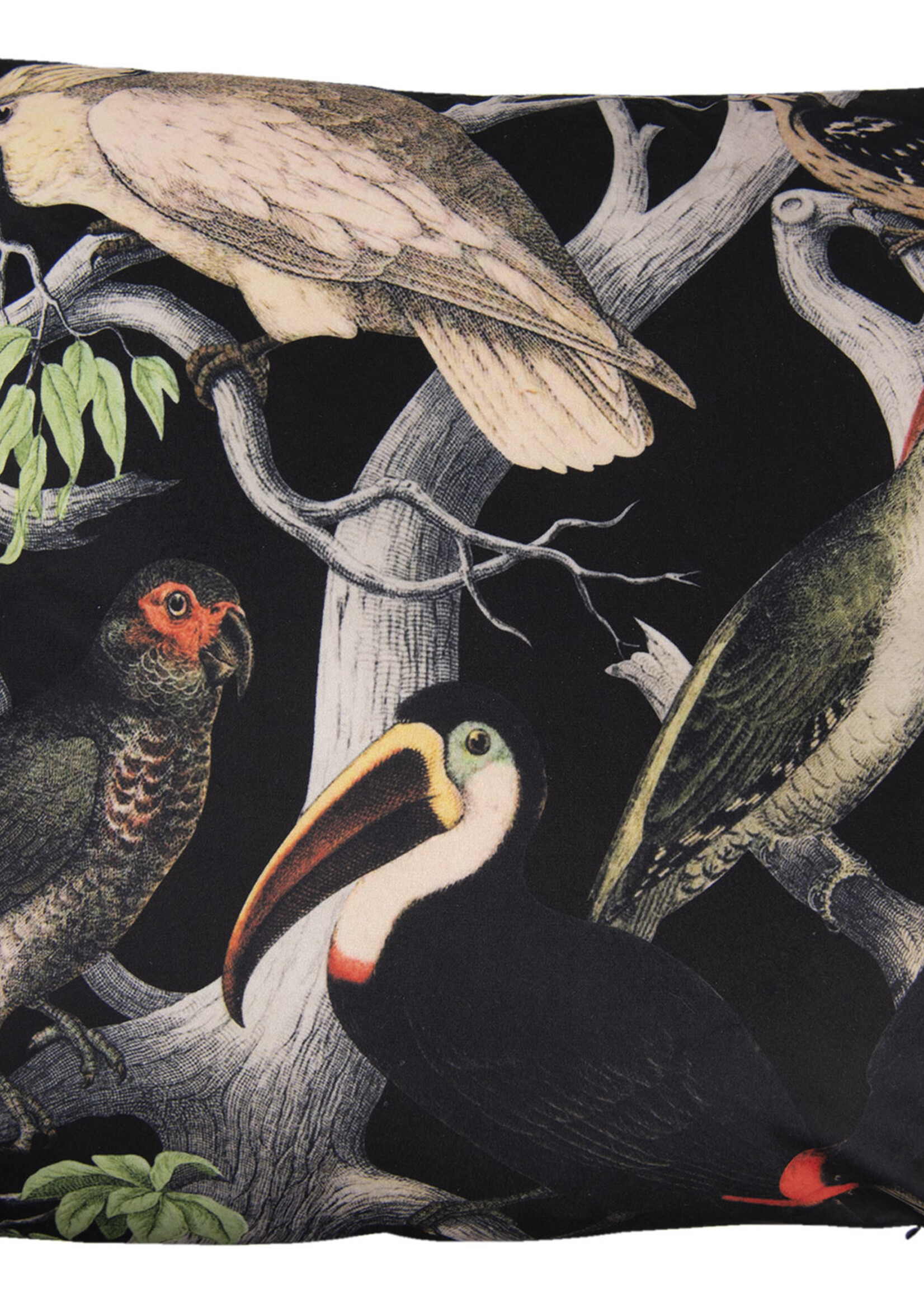 Clayre & Eef Coussin rempli 45*45*4 cm KG023.046