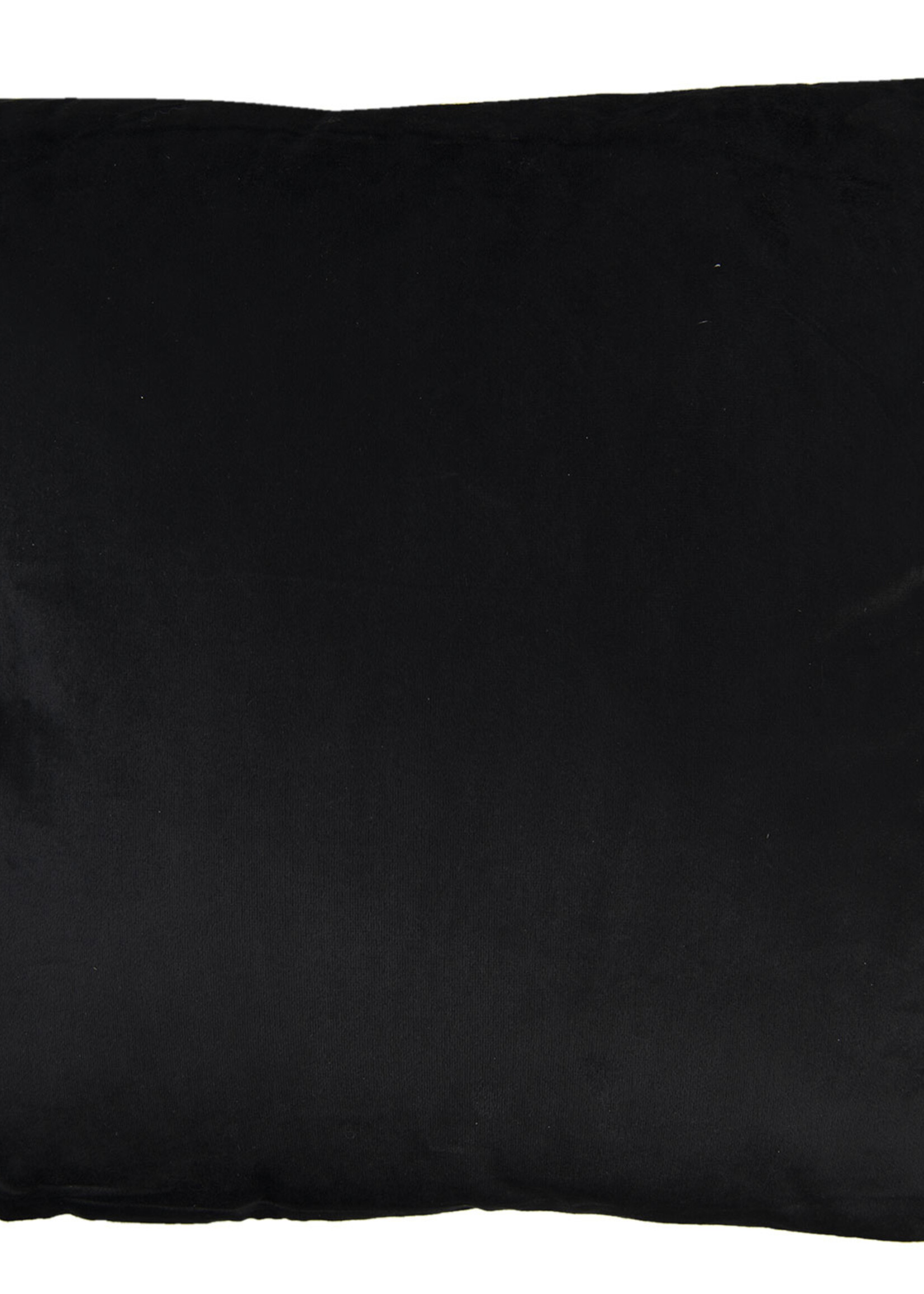 Clayre & Eef Coussin rempli 45*45*4 cm KG023.046