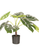 Clayre & Eef Decoratie plant Monstera Deliciosa 68*70*70 cm 5PL0017