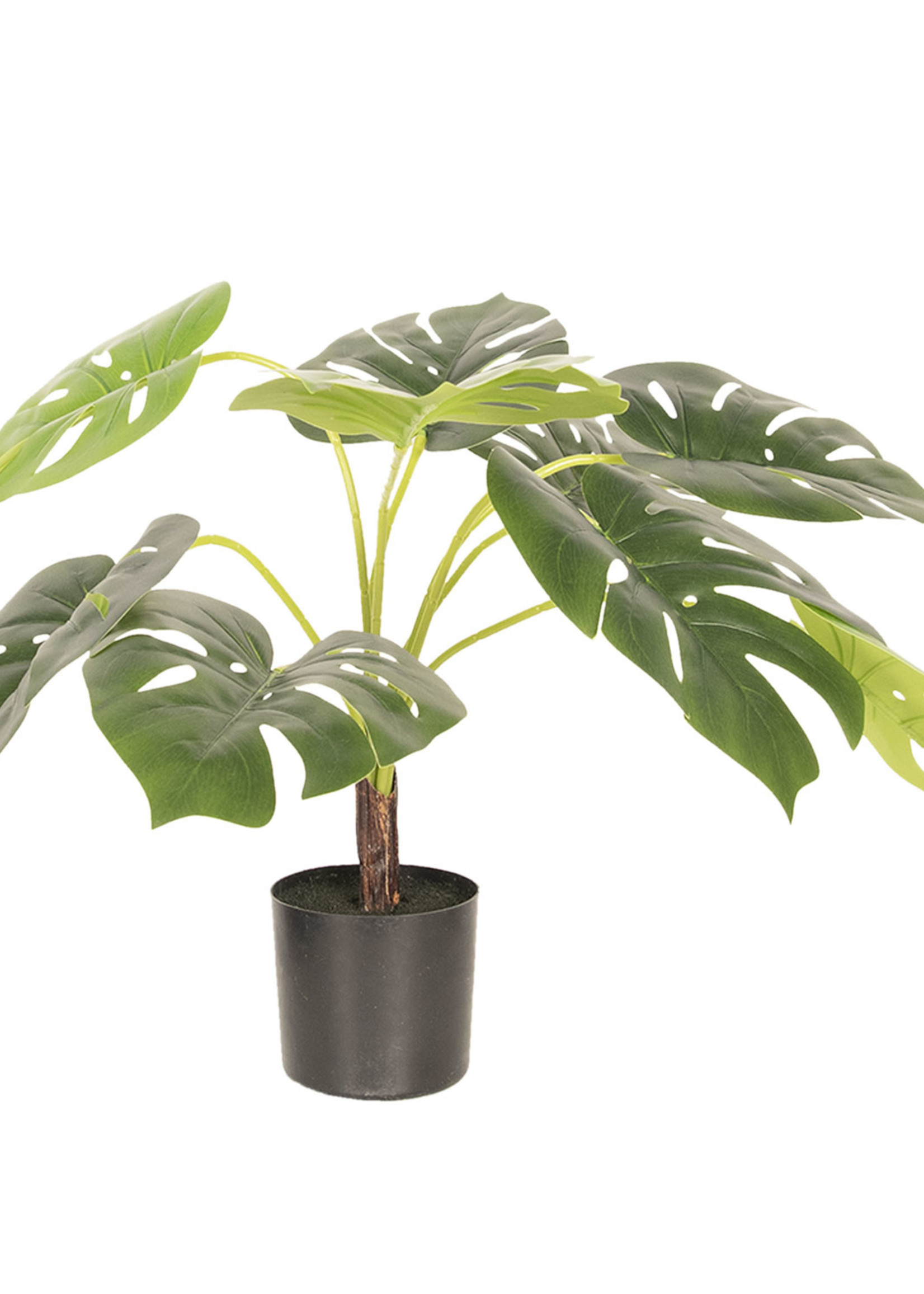 Clayre & Eef Decoratie plant Monstera Deliciosa 68*70*70 cm 5PL0017