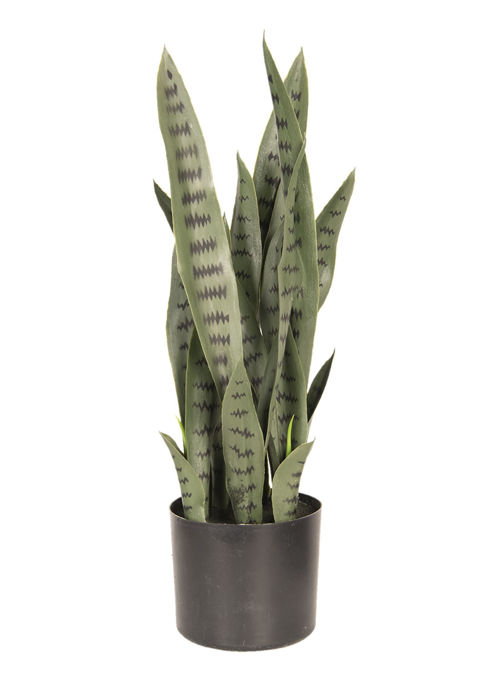 Clayre & Eef Decoration planter du sanseveria 26*30*60 cm 6PL0213