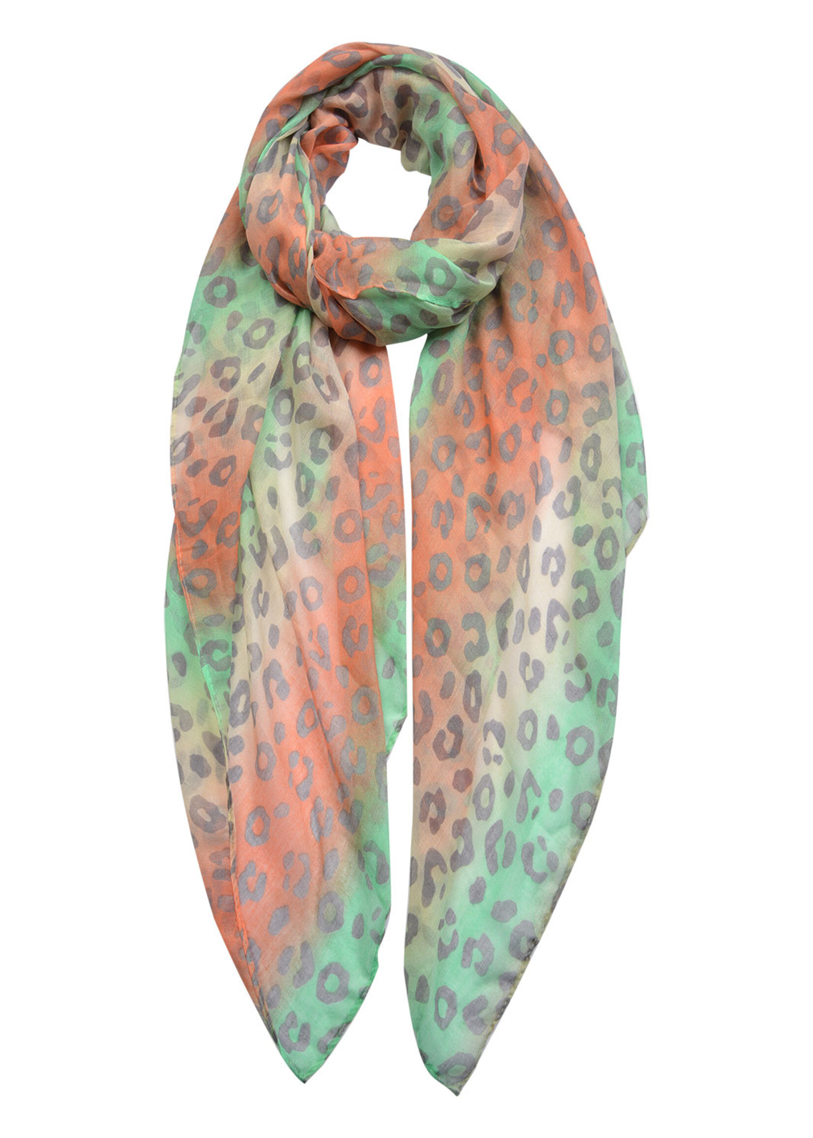 Clayre & Eef Écharpe 90*180 cm vert JZSC0468GR