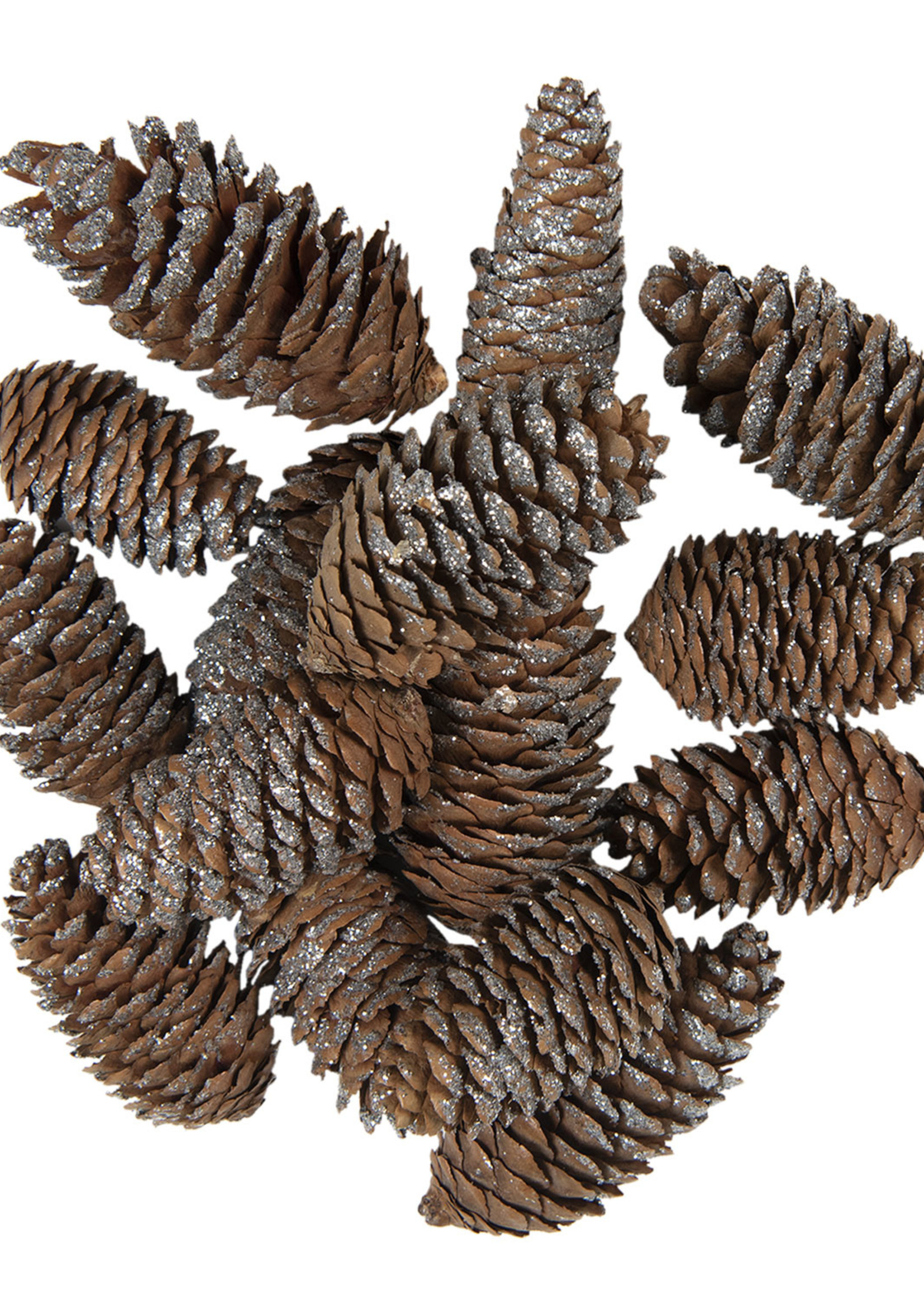 Clayre & Eef Decoratie dennenappels (15) 7/9 cm 64583