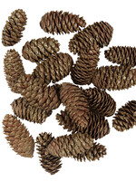 Clayre & Eef Decoratie dennenappels (15) 7/9 cm 64584