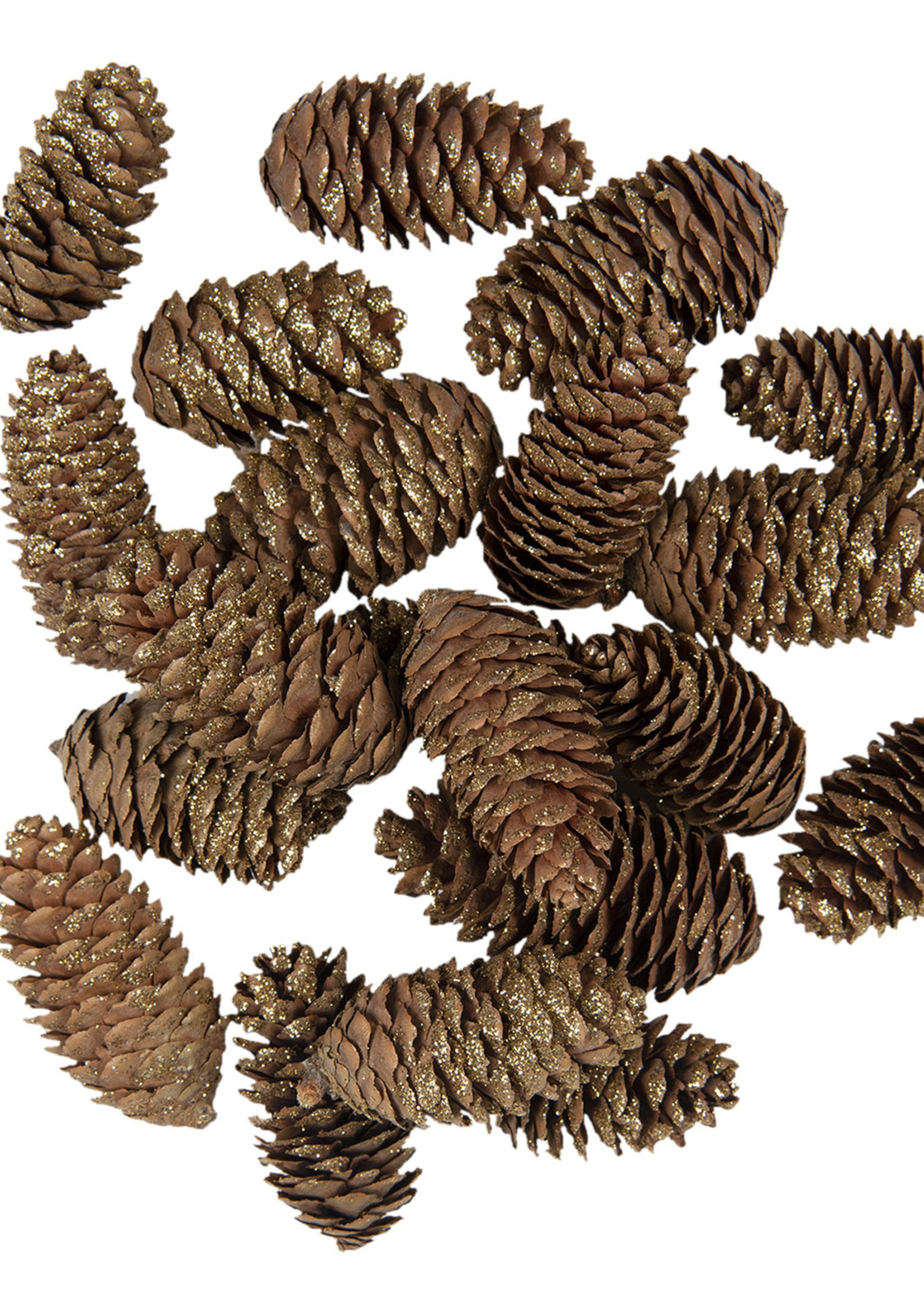 Clayre & Eef Decoratie dennenappels (15) 7/9 cm 64584