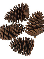 Clayre & Eef Decoratie dennenappels (4) 8/10 cm 64585