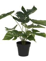Clayre & Eef Decoration plante artificielle faux philodendron 30*30*34 cm 6PL0215