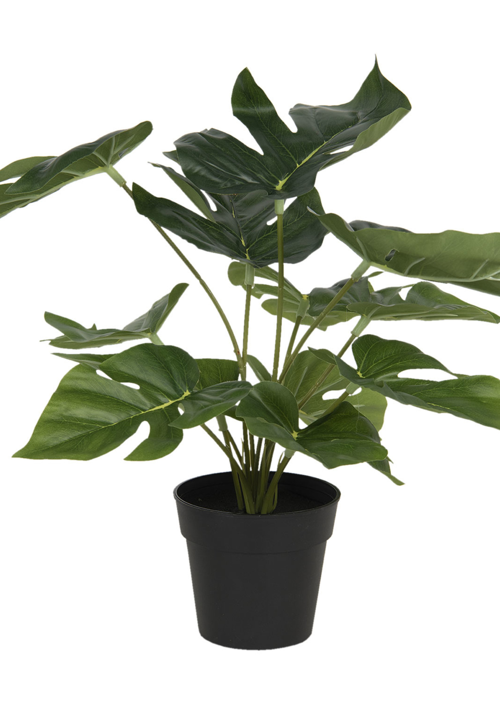 Clayre & Eef Decoratie kunstplant Monstera Deliciosa 30*30*34 cm 6PL0215