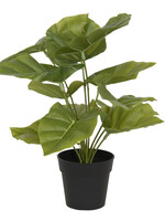 Clayre & Eef Decoratie kunstplant 30*30*34 cm 6PL0216