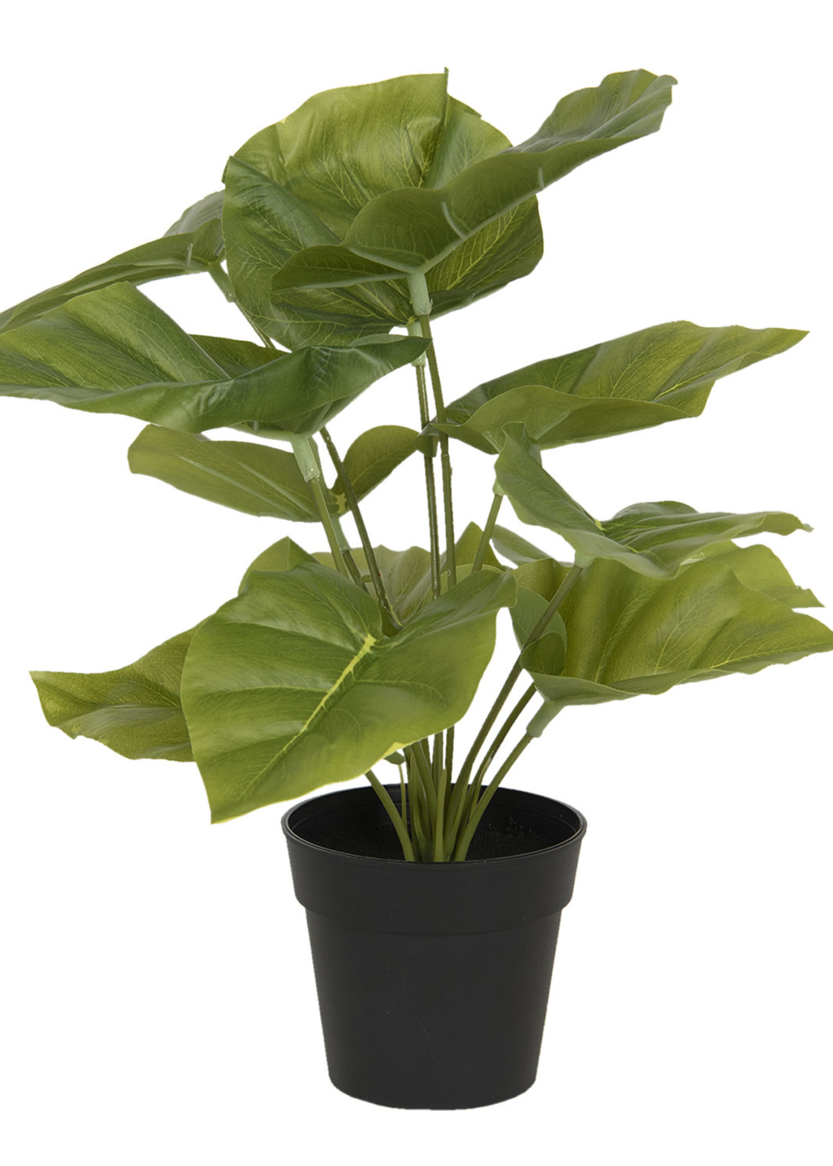 Clayre & Eef Decoratie kunstplant 30*30*34 cm 6PL0216