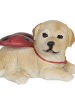 Clayre & Eef Decoratie hond 11*9*7 cm 6PR3118