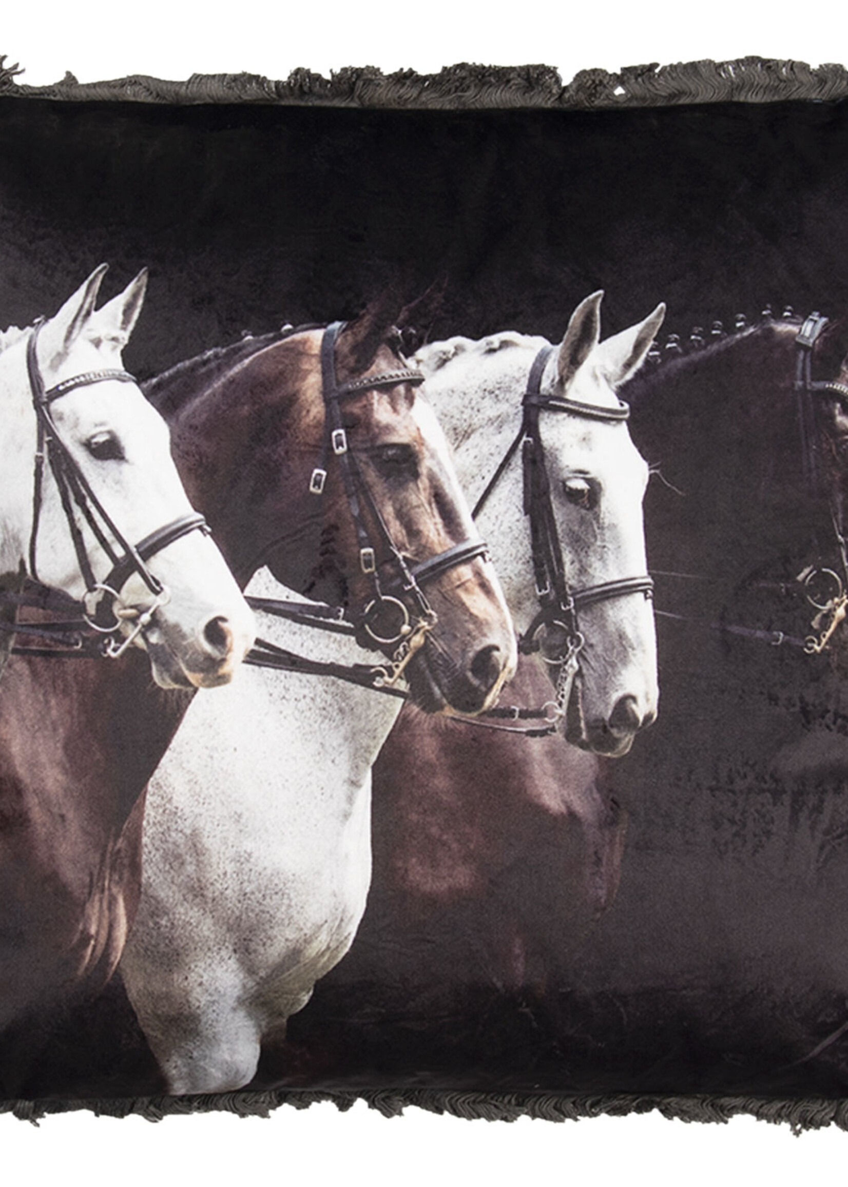 Clayre & Eef Coussin rempli 45*45*4 cm KG023.098