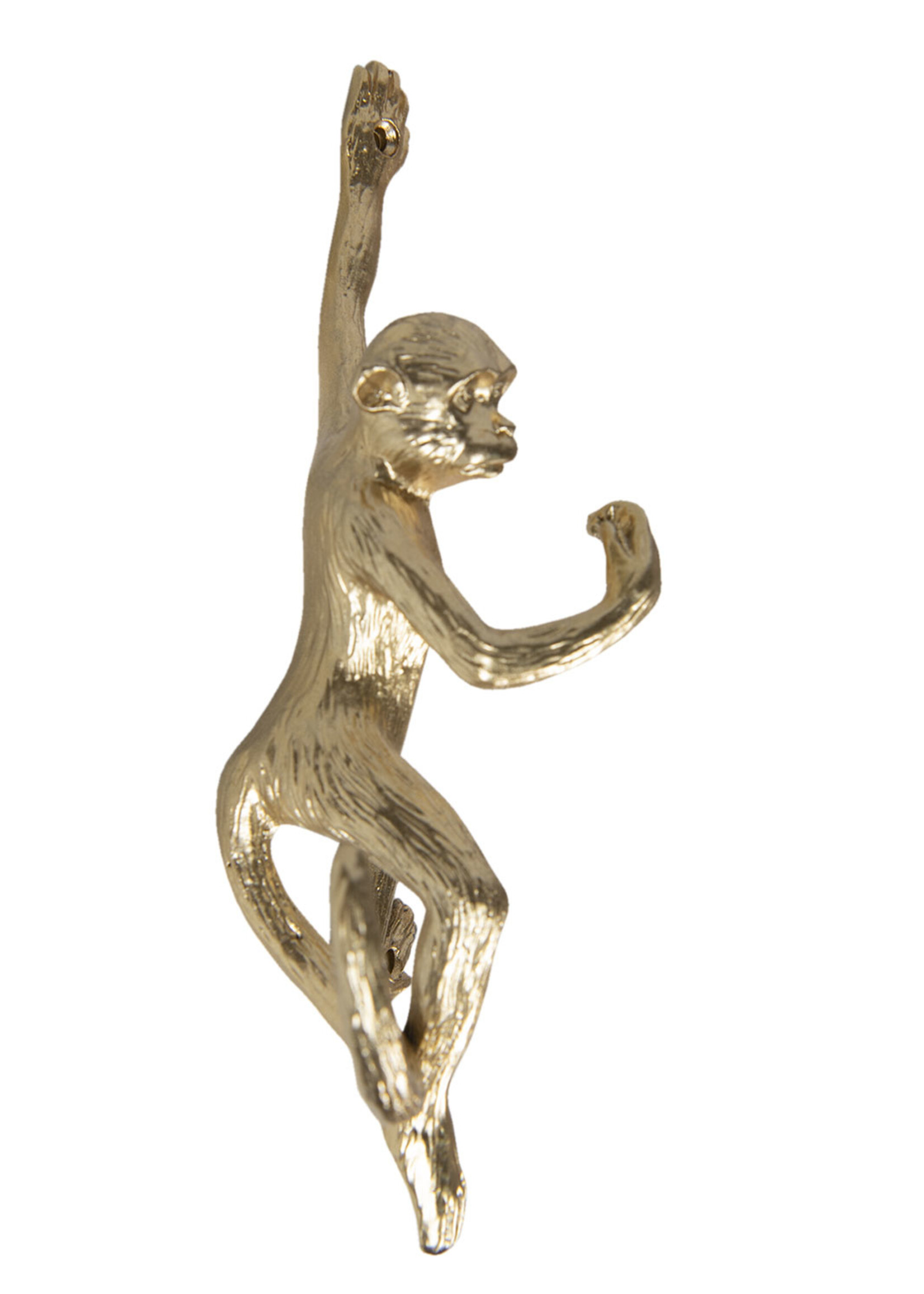 Clayre & Eef Wandhaak 8*6*19 cm 6Y4168