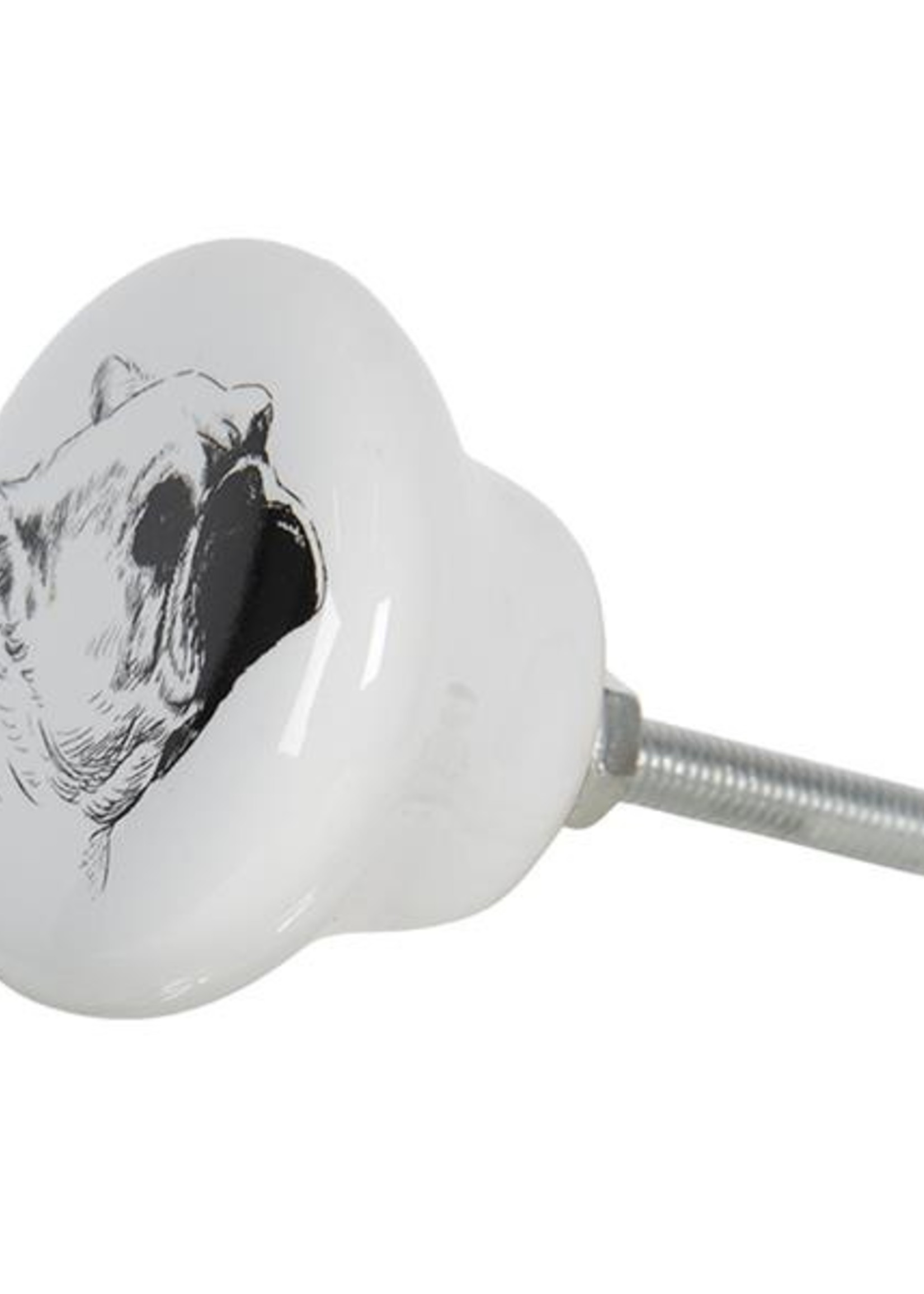 Clayre & Eef Deurknop hond Ø 4*2 cm 64707