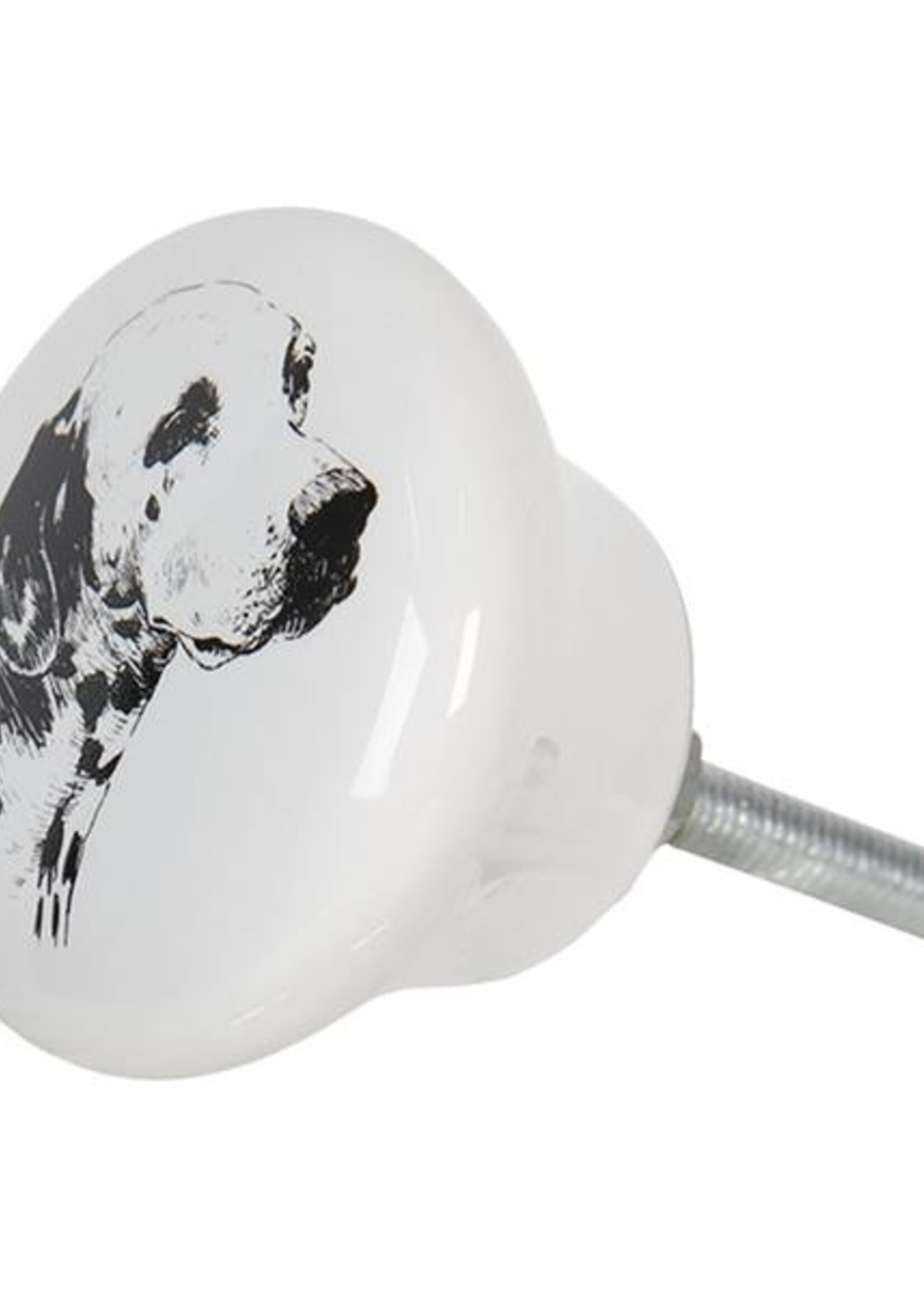 Clayre & Eef Bouton de porte chien Ø 4*2 cm 64708