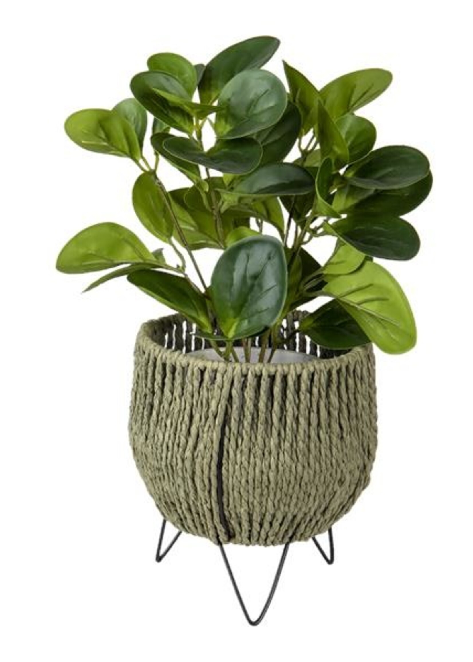 Clayre & Eef Planthouder Ø 16*18 cm 64847