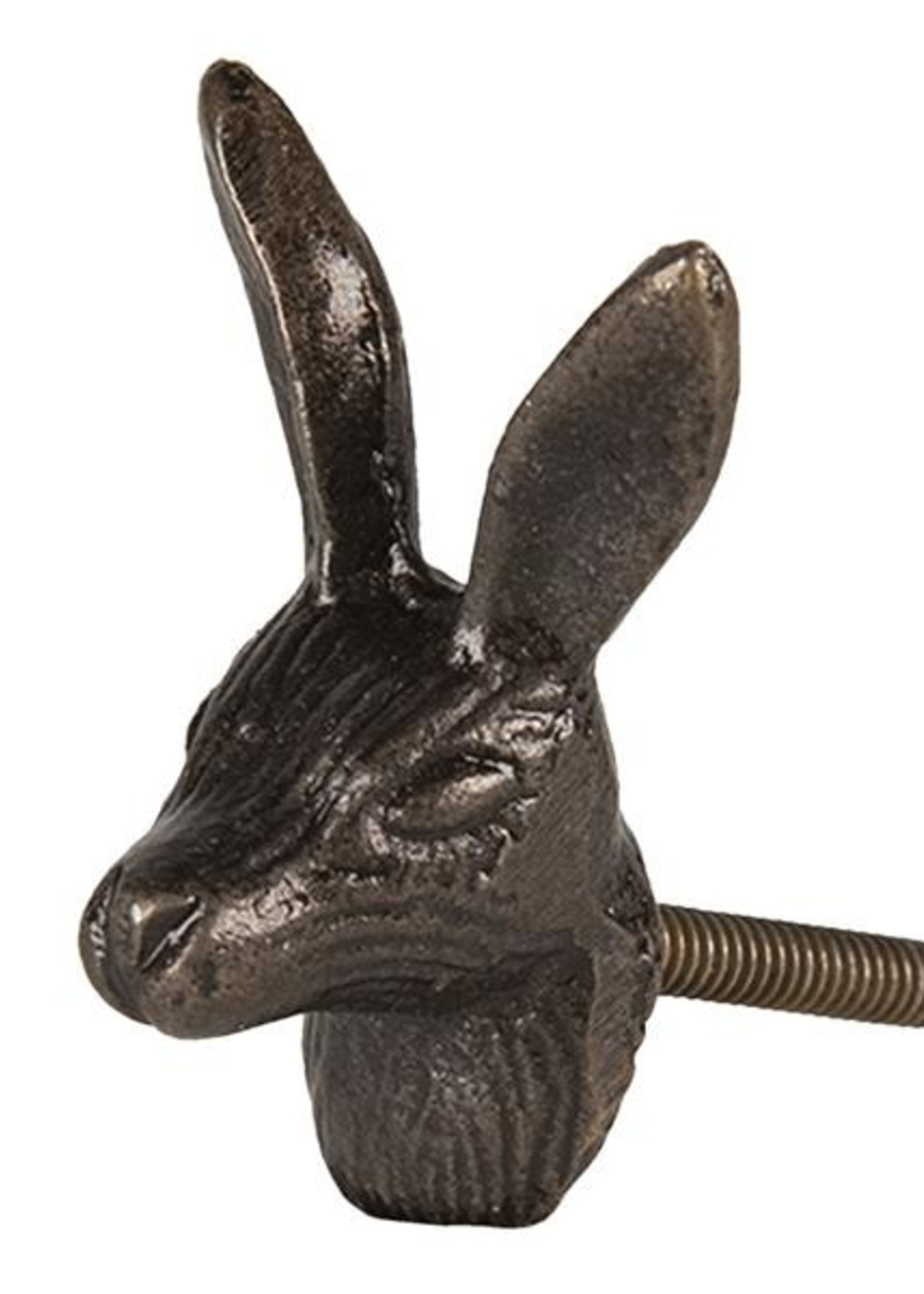 Clayre & Eef Bouton de porte lapin 6*6 cm 64524