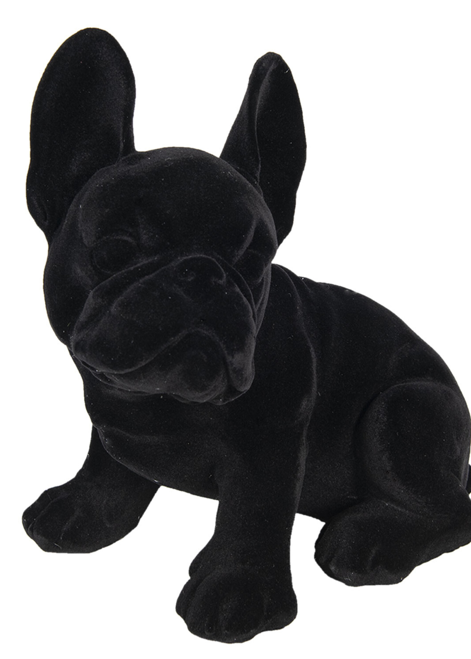 Clayre & Eef Décoration chien (Bulldog français) 22*17*24 cm 6FU0014