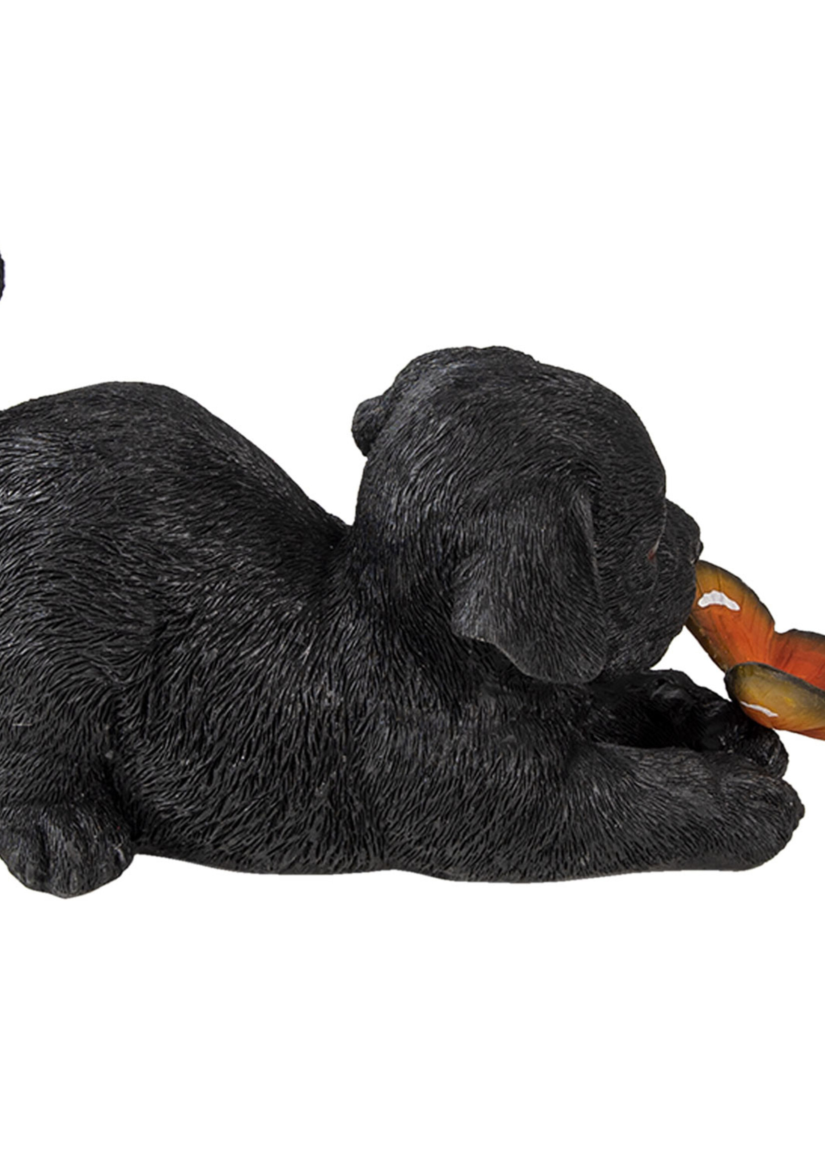 Clayre & Eef Décoration chien 20*8*11 cm 6PR3359