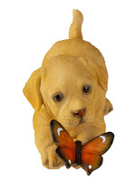 Clayre & Eef Decoratie hond 20*8*11 cm 6PR3361