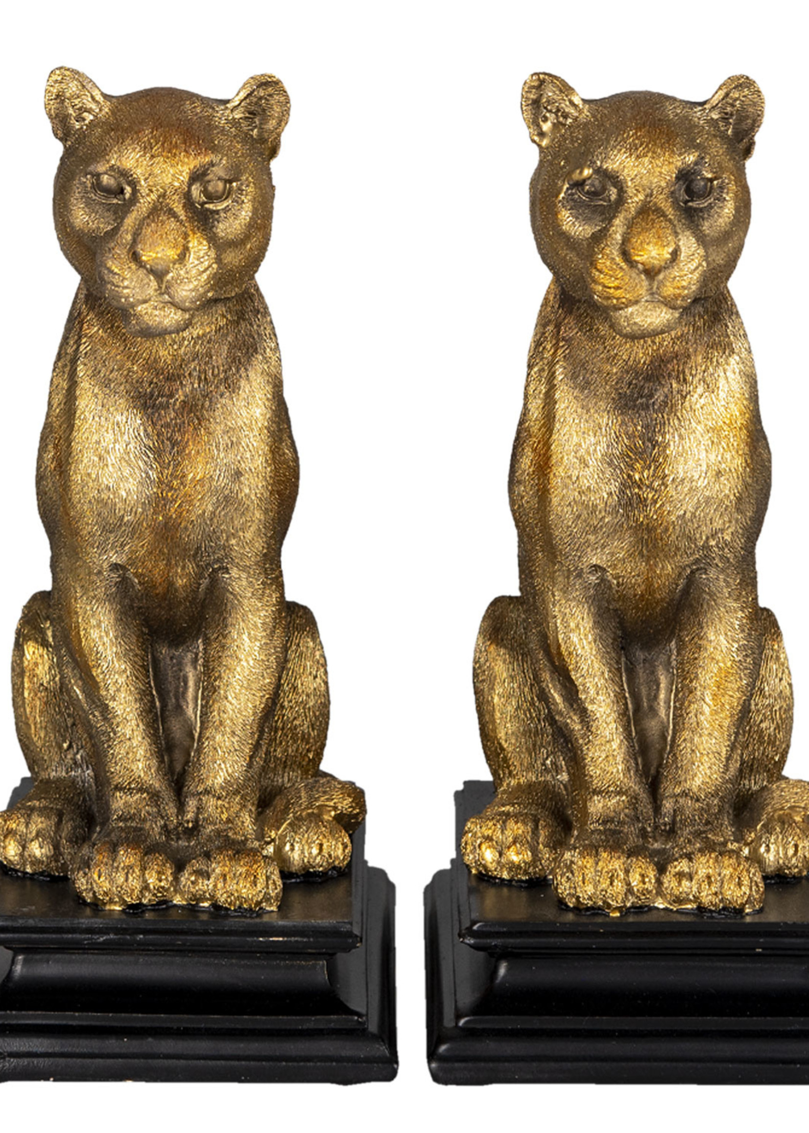 Clayre & Eef Serre-livre tigre (2) 21*14*23 cm 6PR3392