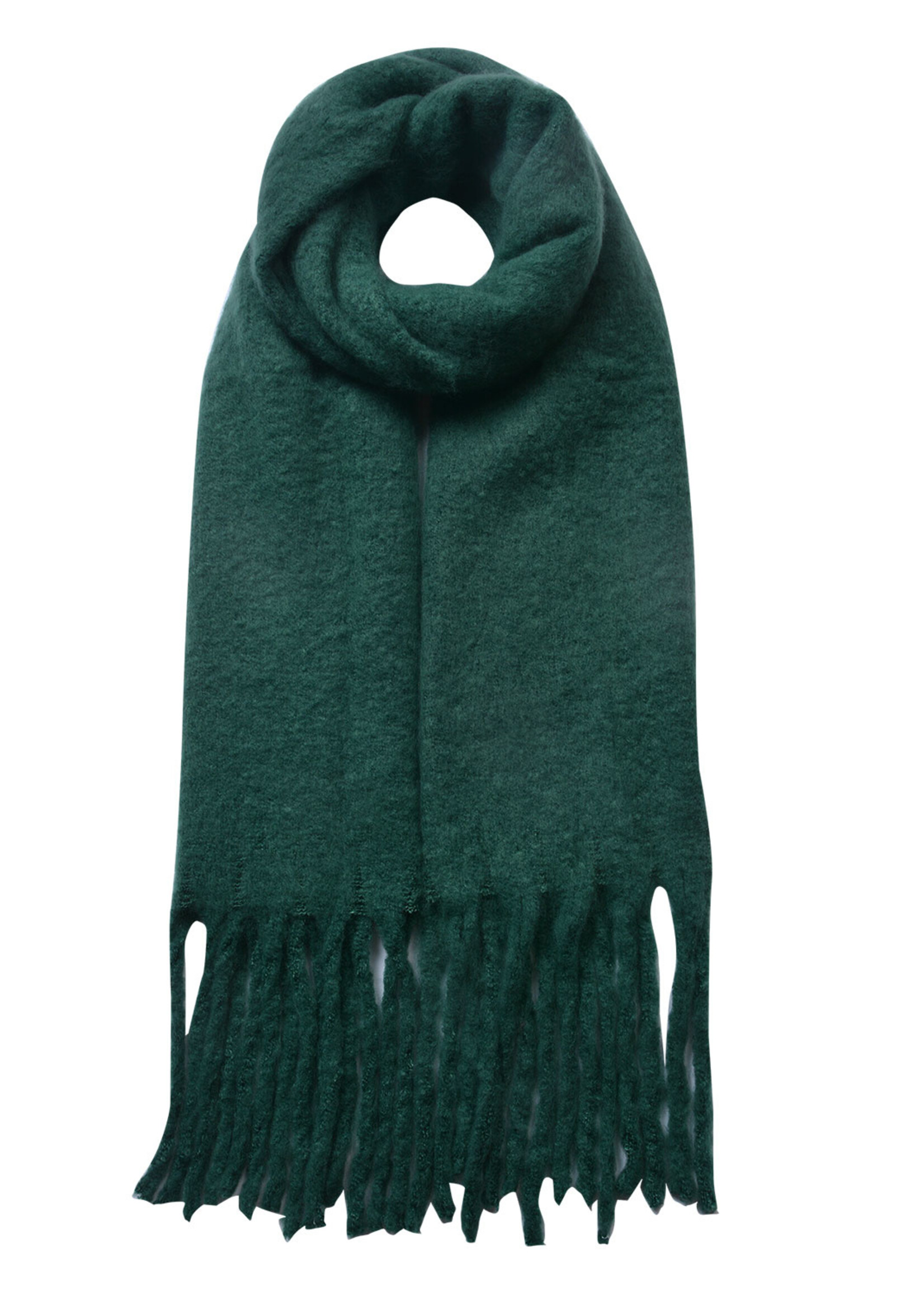 Clayre & Eef Écharpe 50*180 cm vert JZSC0479GR