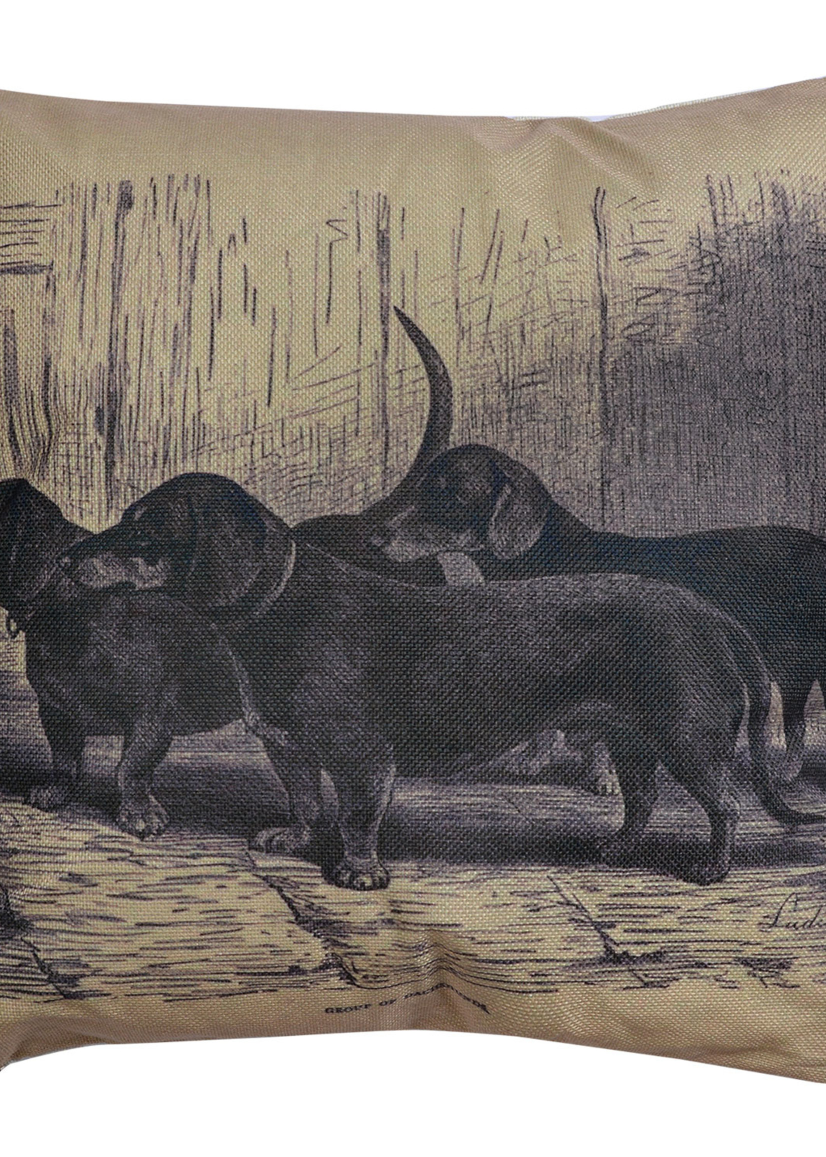 Clayre & Eef Coussin rempli 43*43*4 cm KG023.091