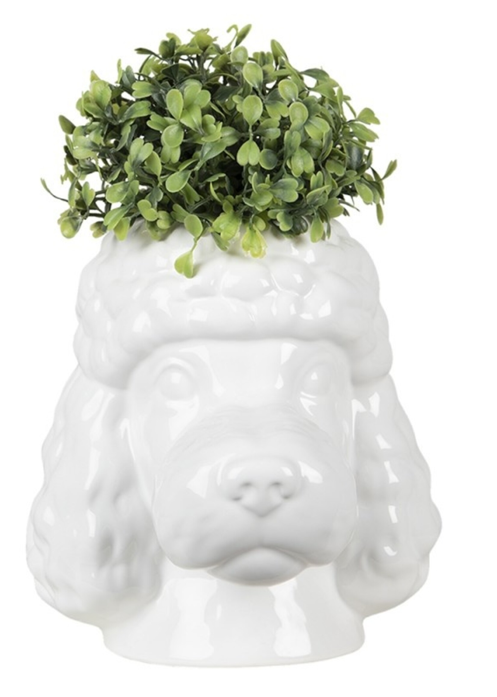 Clayre & Eef Vase chien 18*18*19 cm 6CE1298