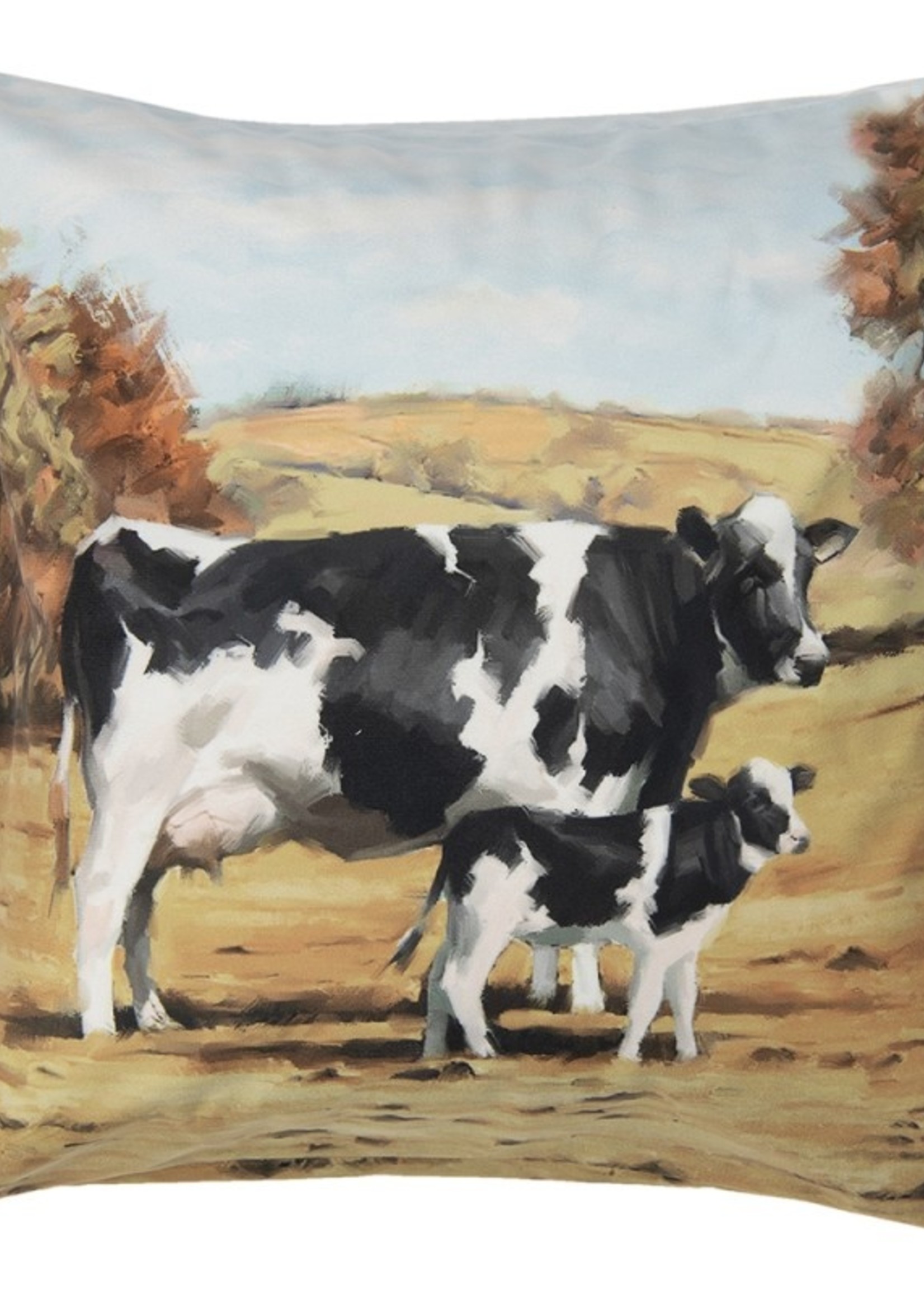 Clayre & Eef Kussenhoes 45*45 cm KT021.277