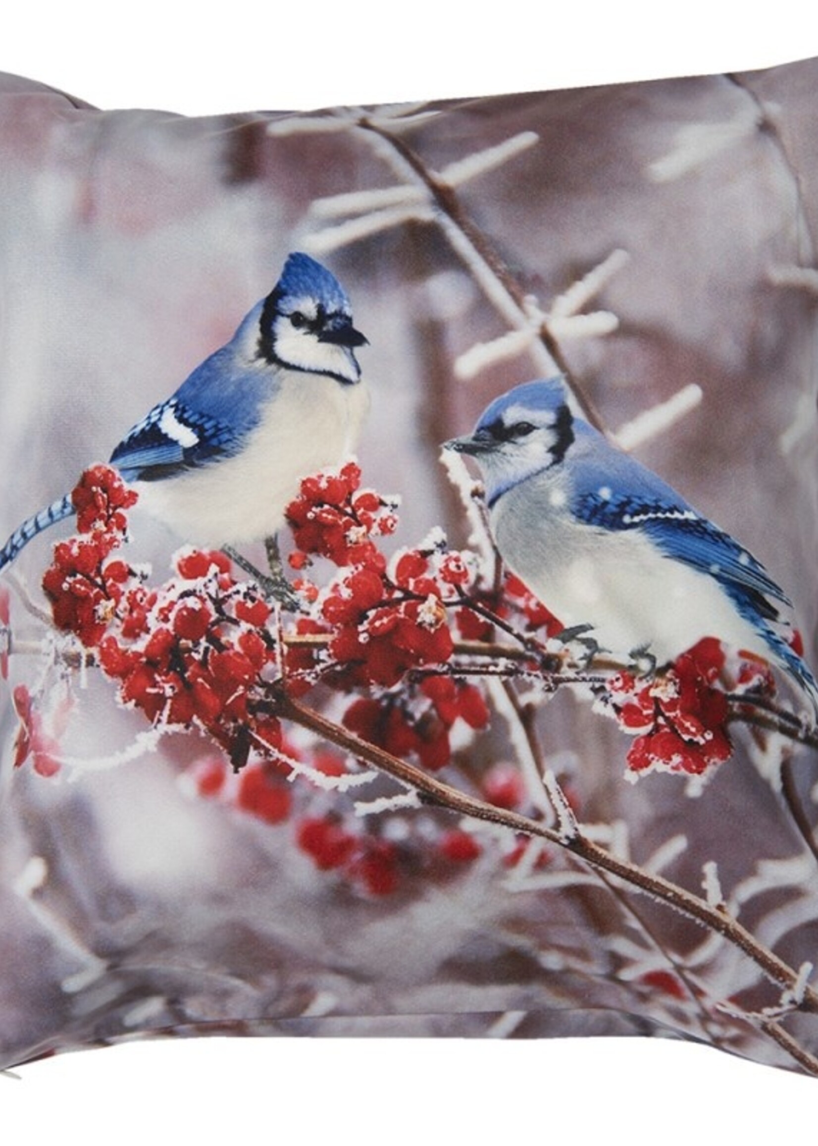 Clayre & Eef Kussenhoes 45*45 cm KT021.267