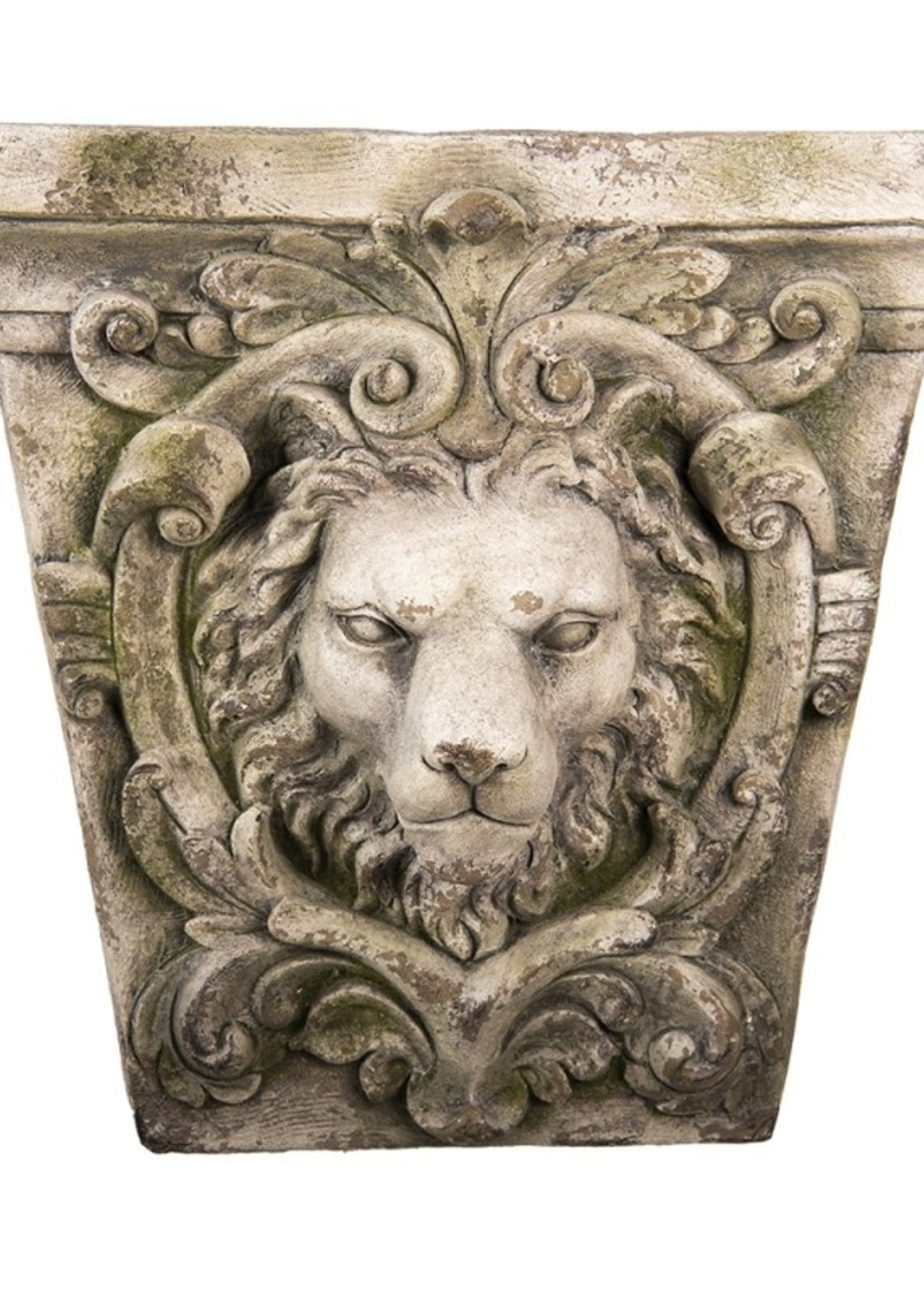 Clayre & Eef Wanddecoratie leeuwenhoofd 59*18*56 cm 5PR0083