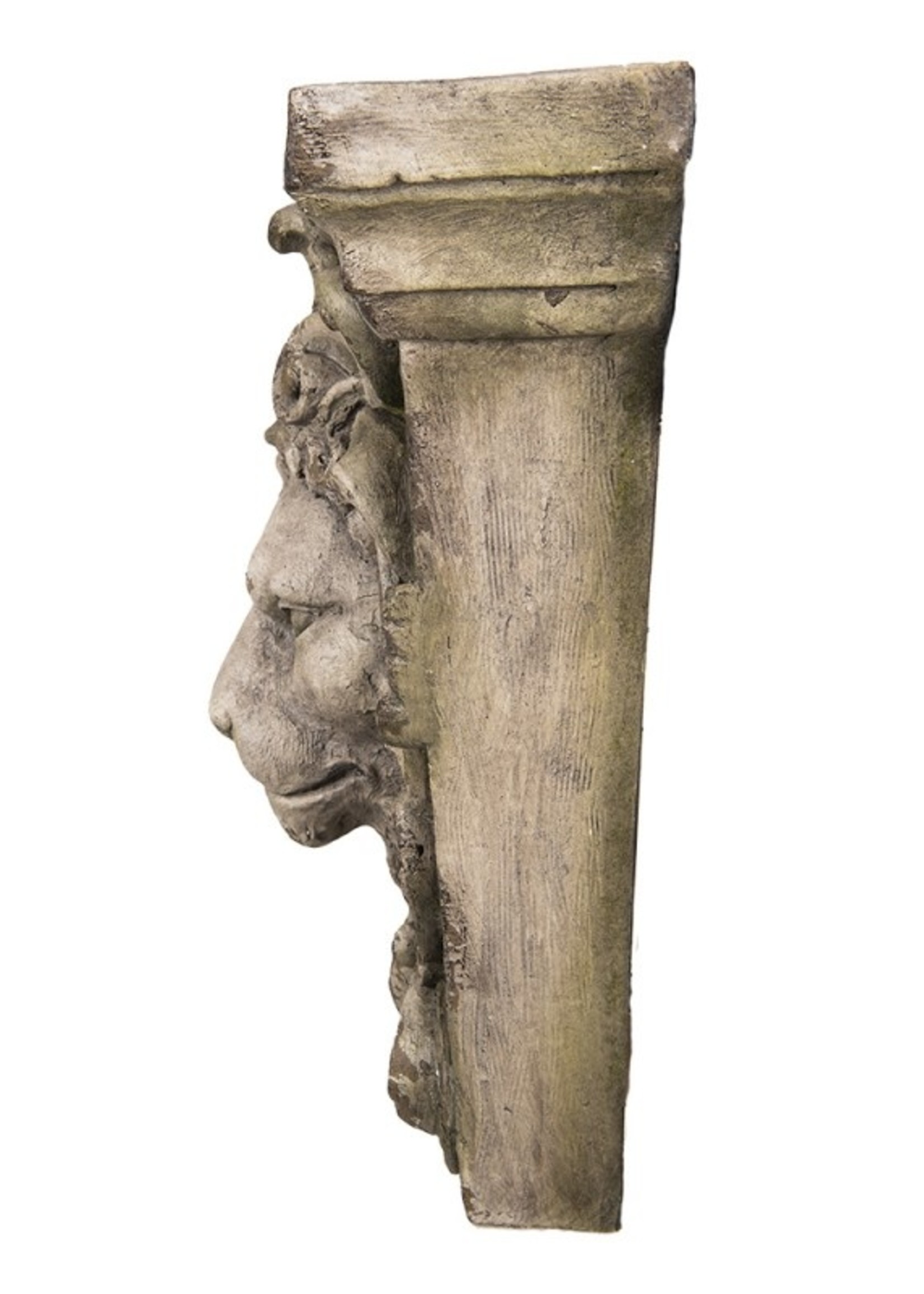 Clayre & Eef Wanddecoratie leeuwenhoofd 59*18*56 cm 5PR0083