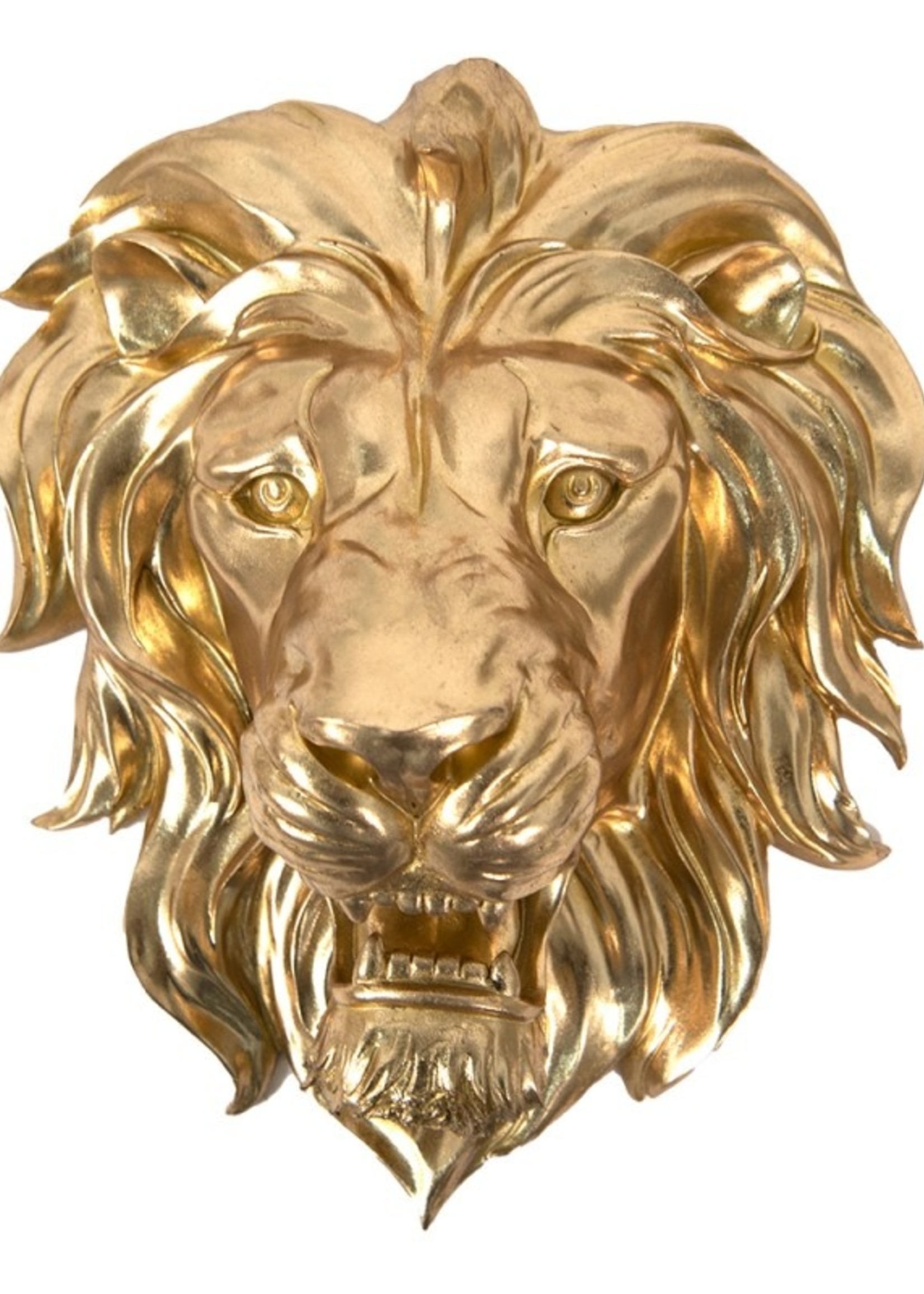 Clayre & Eef Décoration murale lion 48*24*42 cm 6PR3633