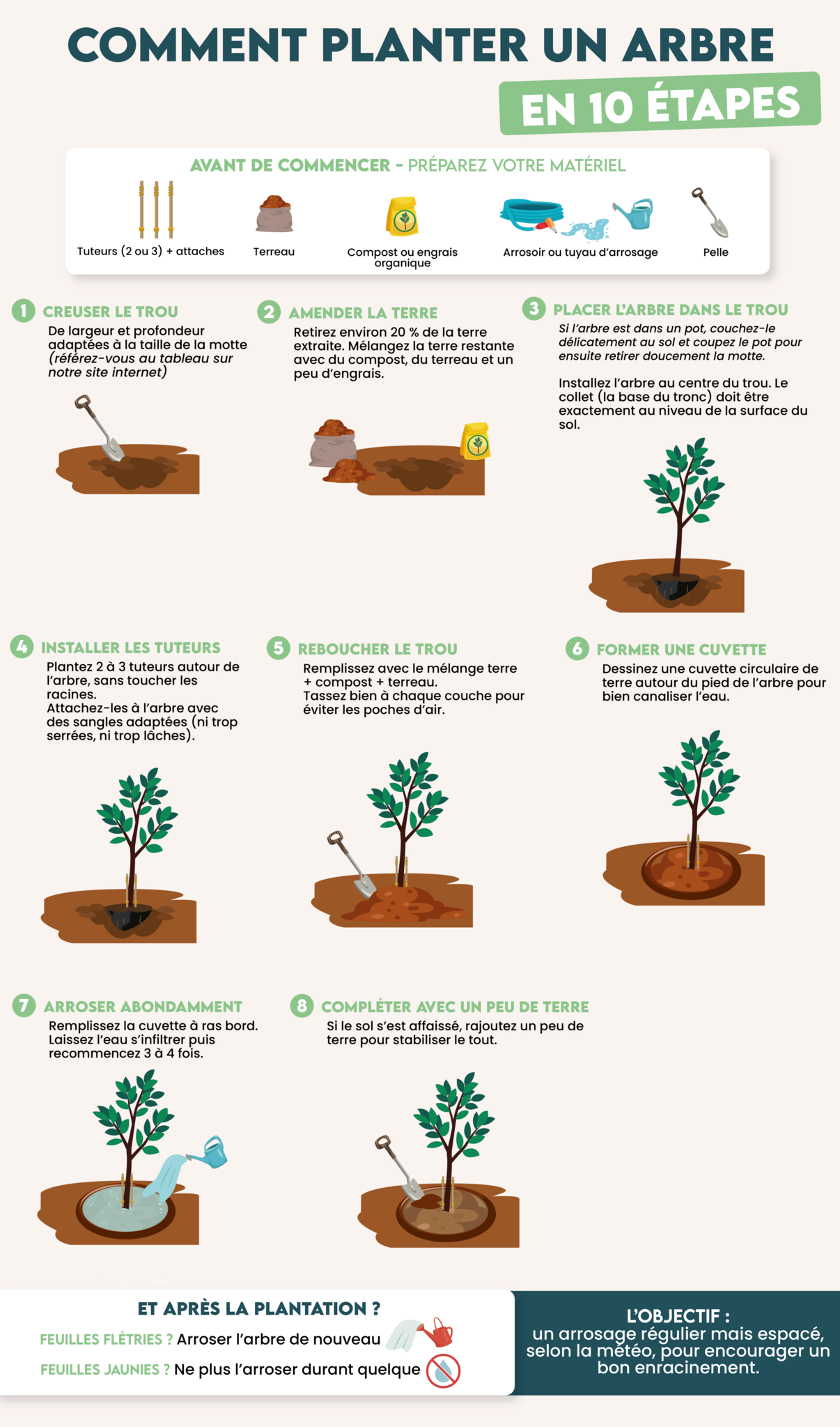 Comment planter un arbre ?