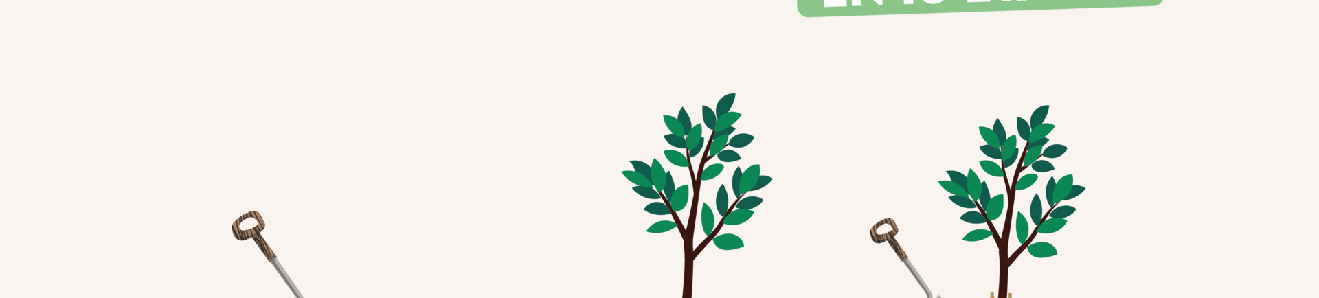 Comment planter un arbre en 10 étapes ? 