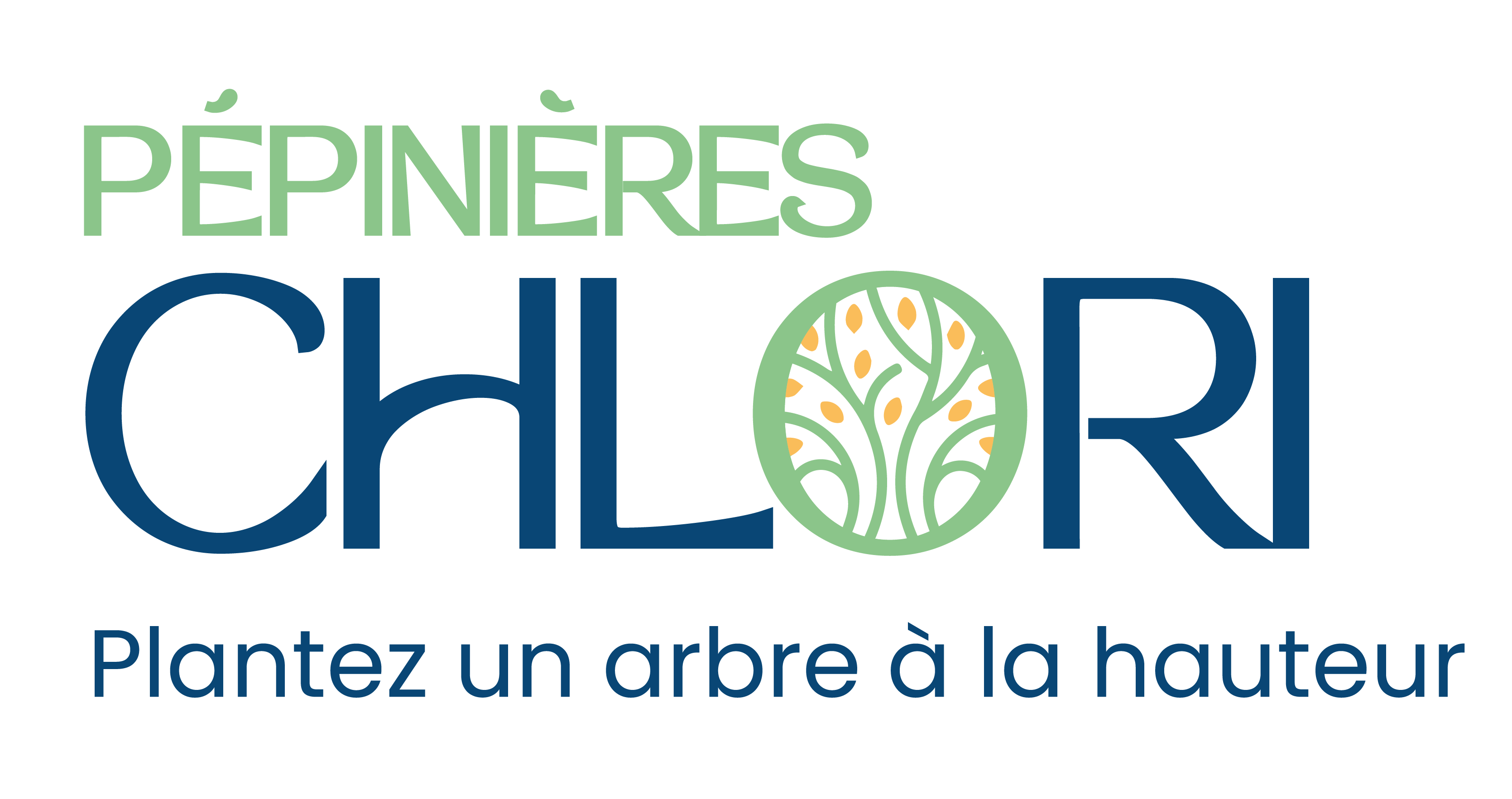 Arbres de grande taille de qualité supérieure