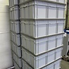 Engels Stapelbak met oplegdeksel, 800x600x320 mm, euronorm, grijs pp, gebruikt Engels Stapelbak met oplegdeksel, 800x600x320 mm, euronorm, grijs pp, gebruikt