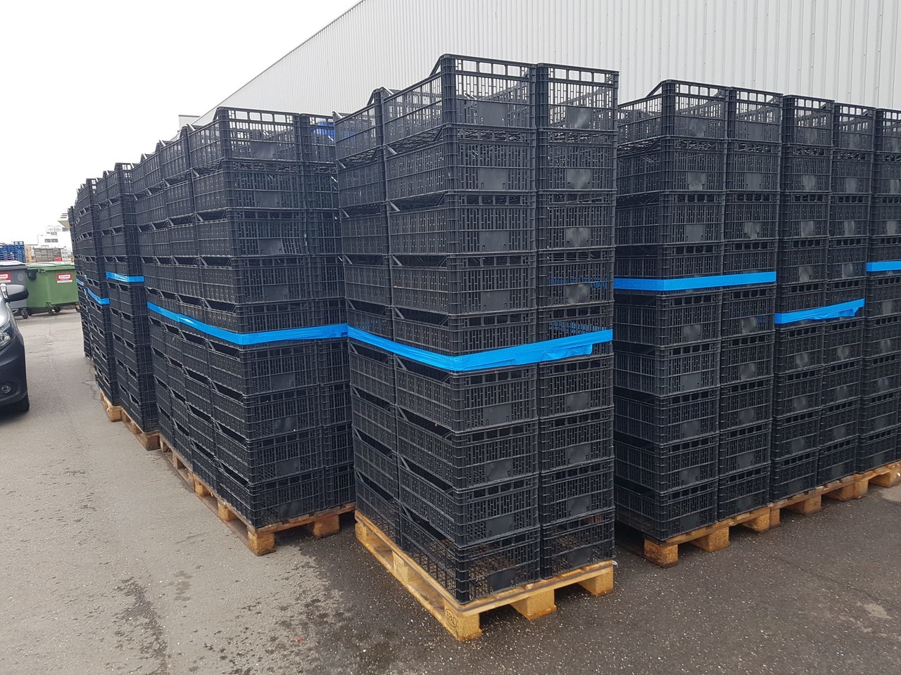 Emtrade 60x40x17 lichtgewicht krat, zwart, PP, geperforeerd, gebruikt Emtrade 60x40x17 lichtgewicht krat, zwart, PP, geperforeerd, gebruikt