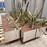 RVS Stalen plantenbak 140x30xH23 cm rechthoek, gebruikt RVS Stalen plantenbak 140x30xH23 cm rechthoek, gebruikt