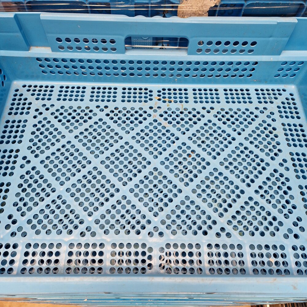 Nestbare stapelkrat geperforeerd 60x40x14cm blauw 23l, gebruikt Nestbare stapelkrat geperforeerd 60x40x14cm blauw 23l, gebruikt